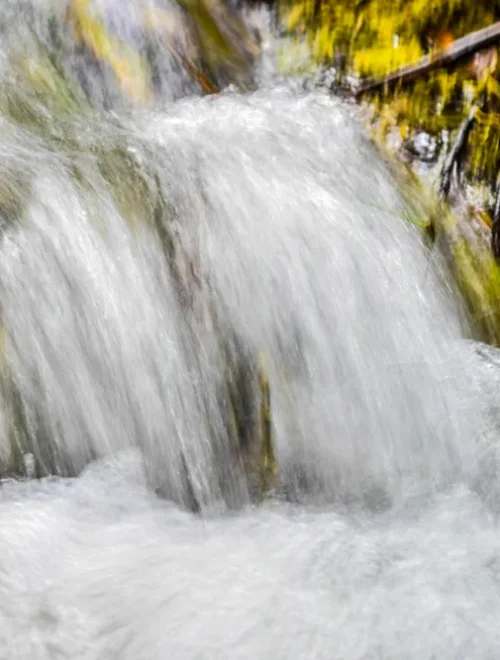 Ikogosi Warm Springs Exploration Tour