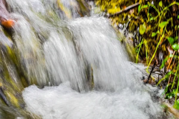 Ikogosi Warm Springs Exploration Tour