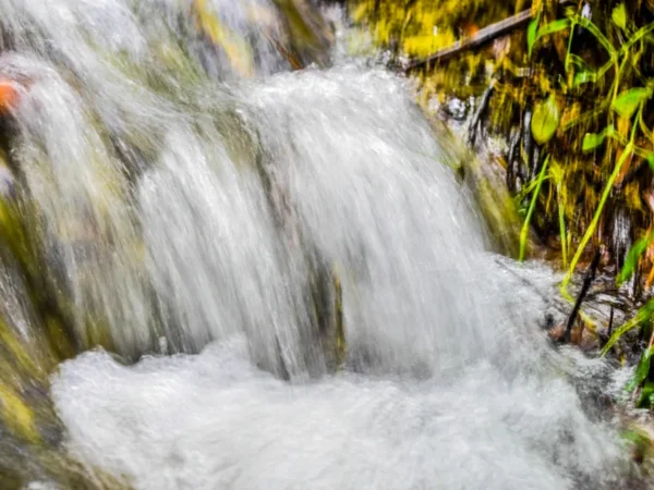 Ikogosi Warm Springs Exploration Tour