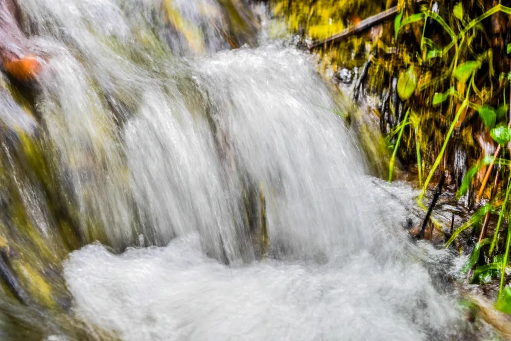 Ikogosi Warm Springs 