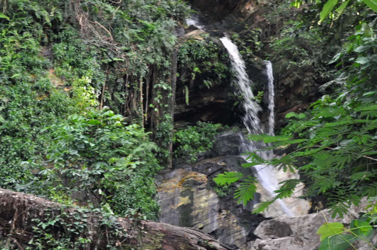 Ikogosi Warm Springs